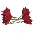 Floristik24 Kunstig magnolia rød kunstig blomsterskum blomsterdekor Ø10cm 6stk