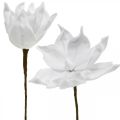 Floristik24 Kunstig magnolia hvit kunstig blomst på pinne Ø10cm Skum 6stk