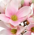 Floristik24 Magnolia haug rosa 40cm 5stk