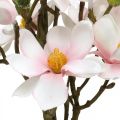 Floristik24 Kunstige magnoliakvister Rosa kunstige blomster H40cm 4stk i haug