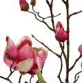Floristik24 Magnolia gren violet 110cm 1p
