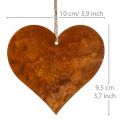 Floristik24 Hjerter til å henge høst metalldekor patina 9,5×10cm 12stk