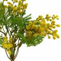 Floristik24 Mimosa gul kunstig kunstig plantebunt 39cm