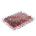 Mini eple på wire Ø2,5cm 48 stk | Floristik24.no
