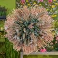 Floristik24 Mini palmespyd, tørre blomster, adventsdekorasjon, minnedager naturlig L33–34cm B7–9cm 4stk