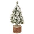 Floristik24 Mini juletre trefot grønn hvit Ø8cm H18cm 3stk