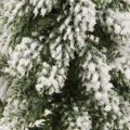 Mini juletre trefot grønn hvit Ø8cm H18cm 3stk | Floristik24.no