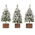 Mini juletre trefot grønn hvit Ø8cm H18cm 3stk | Floristik24.no