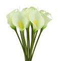 Floristik24 Mini calla kunstig hvit L 28cm 12 stk