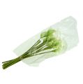 Mini calla kunstig hvit L 28cm 12 stk | Floristik24.no