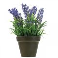 Floristik24 Mini lavendel i potte kunstig plante lavendel dekorasjon H16cm