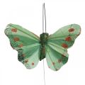 Floristik24 Mini sommerfugl på wire rød, grønn 6,5cm 12stk