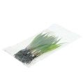 Floristik24 Mini gress med røtter 18cm grønt 6stk