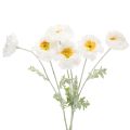 Floristik24 Kunstig valmue, hvit, lang stilk, 78 cm, 3 stk.