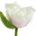 Floristik24 Kunstig valmue, silkeblomst hvit-rosa L55/60/70 cm sett med 3