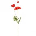 Floristik24 Valmue dekorativ hageblomst med 3 blomster rød L70cm