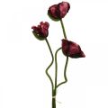 Floristik24 Kunstig valmue kunstig plante rød L55/60/70cm sett med 3