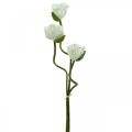 Floristik24 Kunstig blomst Kunstig valmue maisrose hvit L55/60/70 cm Sett med 3