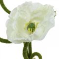 Floristik24 Kunstig blomst Kunstig valmue maisrose hvit L55/60/70 cm Sett med 3