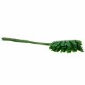 Floristik24 Monstera bladgrønn 58cm 12stk
