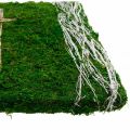 Floristik24 Moseblader og kors for gravplassering grønn, hvit 40 × 30cm