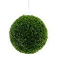 Floristik24 Moseboll grønn med glimmer Ø15cm