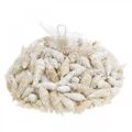 Deco snegler hvite, sjøsnegl naturlig dekorasjon 2-5cm 1kg
