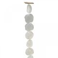 Floristik24 Shell Garland Perlemor Shell Garland Capiz 195cm