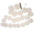 Shell Garland Perlemor Shell Garland Capiz 195cm | Floristik24.no