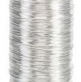 Floristik24 Myrtråd sølv 0,30mm 100g