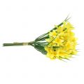 Floristik24 Narcissus gul 27cm 12stk bordpynt