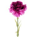 Floristik24 Kunstig nellik, tofarget, lang stilk 56 cm, bukett med 8