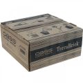 Floristik24 OASIS® TerraBrick™ plug-in sammensatt komposterbar 8 stk