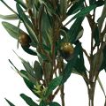 Floristik24 Olivengrein kunstig dekorativ gren olivendekor 84cm