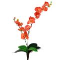 Floristik24 Orchid to greiner 60cm oransje