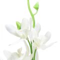 Floristik24 Orkideer kunstige Oncidium kunstige blomster hvite 90cm