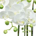 Floristik24 Kunstige orkideer i potte hvit kunstig plante 63cm