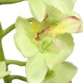 Floristik24 Orkide 56cm lysegrønn