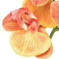 Floristik24 Kunstig orkide Phalaenopsis flammet rød gul 78cm