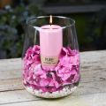 Floristik24 PURE søylelys 130/70 Rosa dekorativt lys bærekraftig naturlig voks