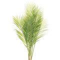 Floristik24 Kunstig palmegren, kunstig plante til arrangementer, 90 cm