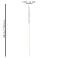 Pampasgress tørkede blomster bleket 70 cm 15 stk | Floristik24.no