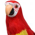 Floristik24 Deco papegøye rød 44cm
