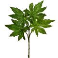 Floristik24 Papaya blader kunstig deco gren kunstig plante grønn 40cm