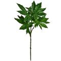 Floristik24 Papaya blader kunstig deco gren kunstig plante grønn 40cm