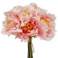 Floristik24 Paeonia peon kunstblomst Peon rosa Ø6cm 28cm 7stk
