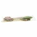 Floristik24 Plantepluggblad 8-10cm naturlig / grønn / lilla 24stk
