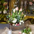 Floristik24 Plantekasse, dekorativ boks, treboks med håndtak, håndverksboks Shabby Chic L25cm H10cm