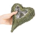 Plantehjerte laget av naturmateriale med folieinnlegg, 22 cm, 2 stk. | Floristik24.no