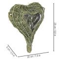 Naturlig plantehjerte til blomsterdekorasjon med folie, 25 cm | Floristik24.no